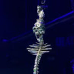 Meet your Posher, Noe